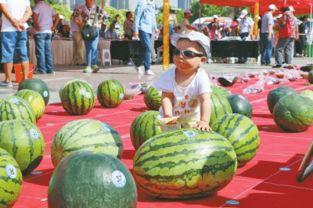 热门大瓜每日大赛 网红黑料在线,热门大瓜每日大赛，黑料在线狂欢